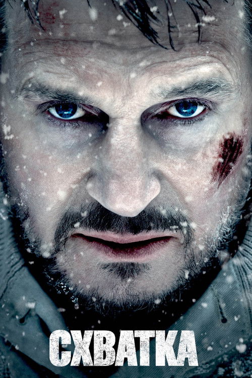 Постер для Схватка