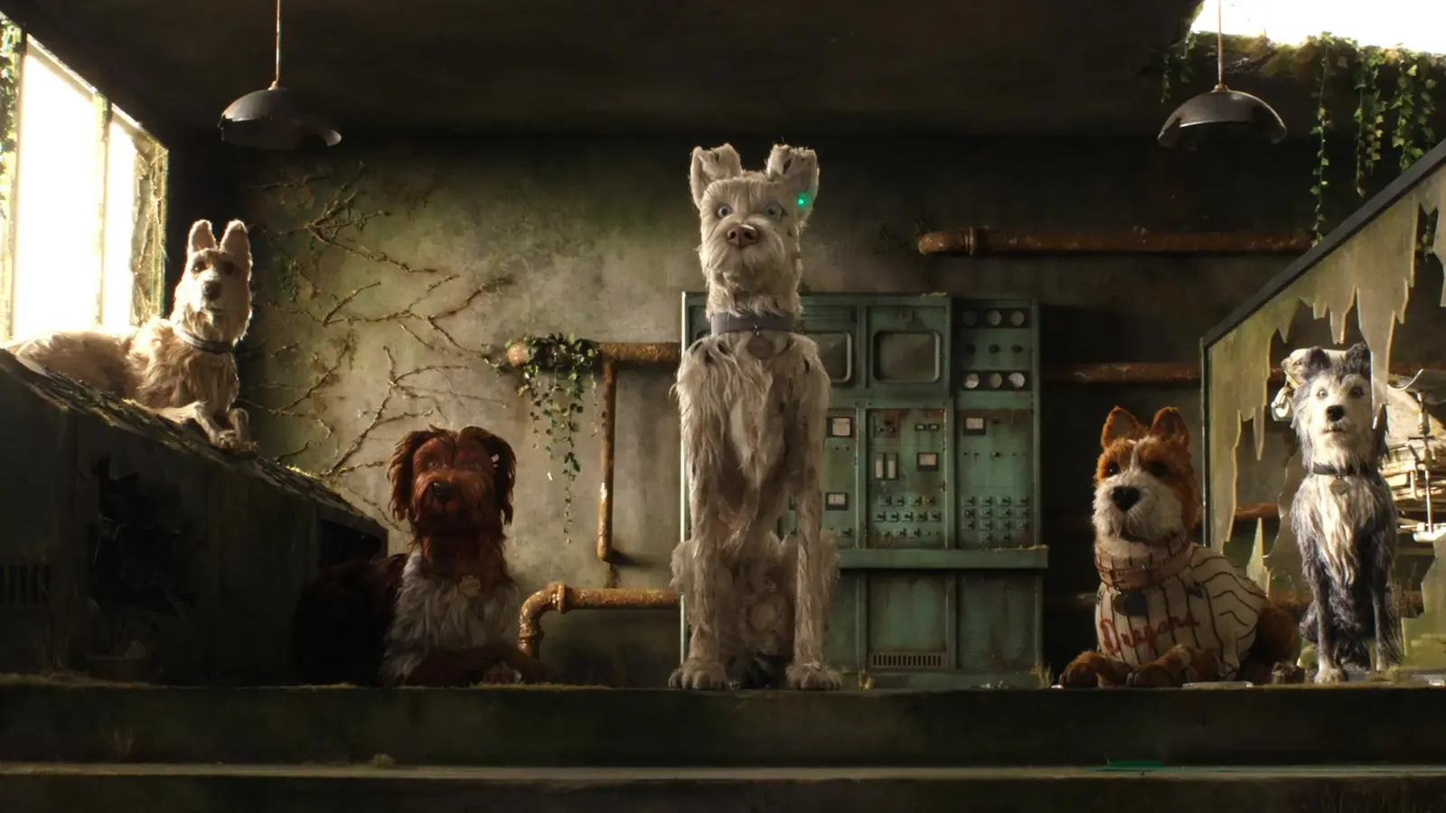 isle-of-dogs-2018 Кадр из мультфильма Остров Собак (2018)